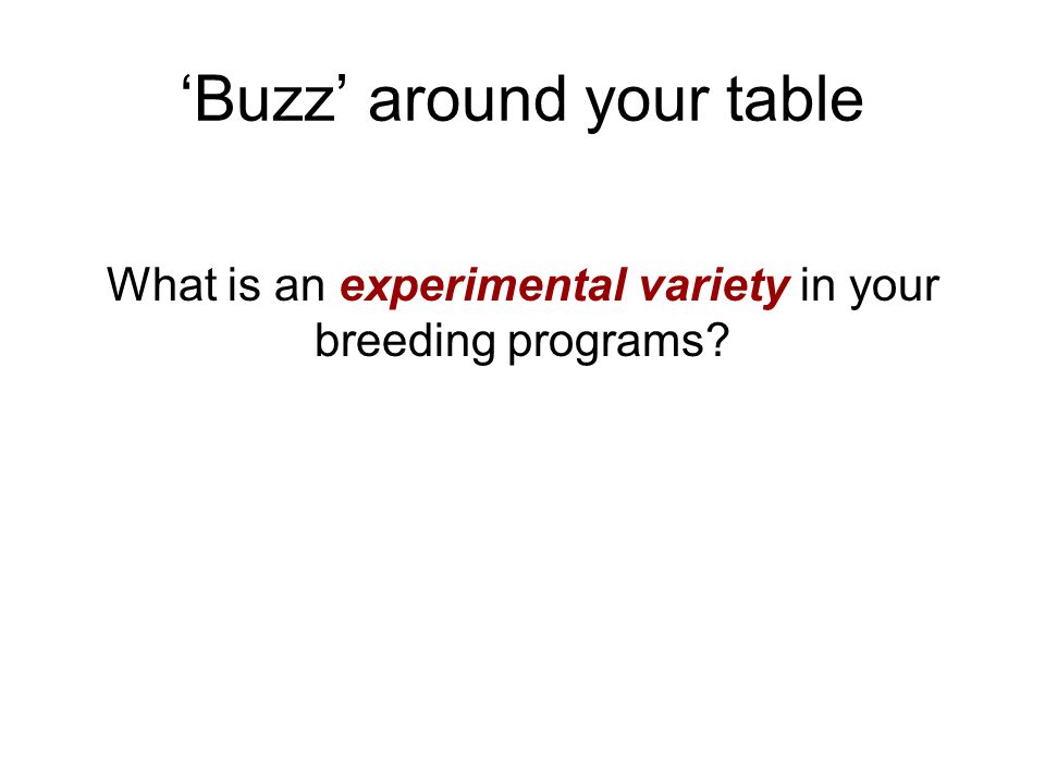 ‘Buzz’ around your table What is an experimental variety in your breeding programs