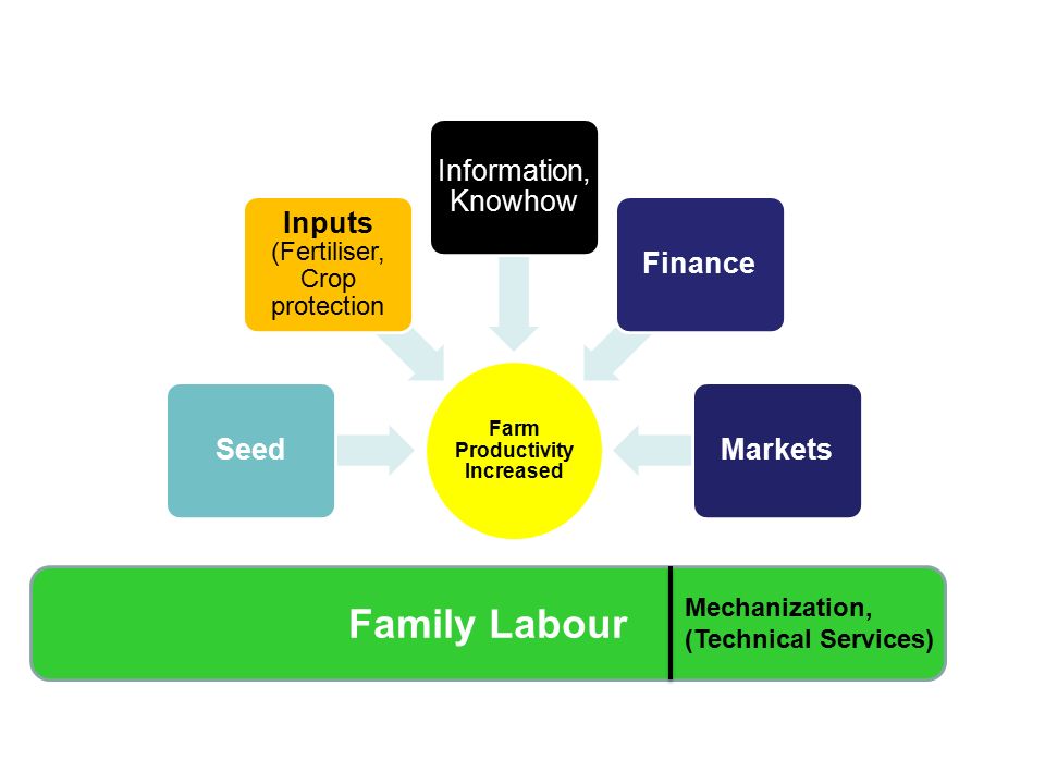 Farm Productivity Increased Seed Inputs (Fertiliser, Crop protection Information, Knowhow FinanceMarkets Family Labour Mechanization, (Technical Services)