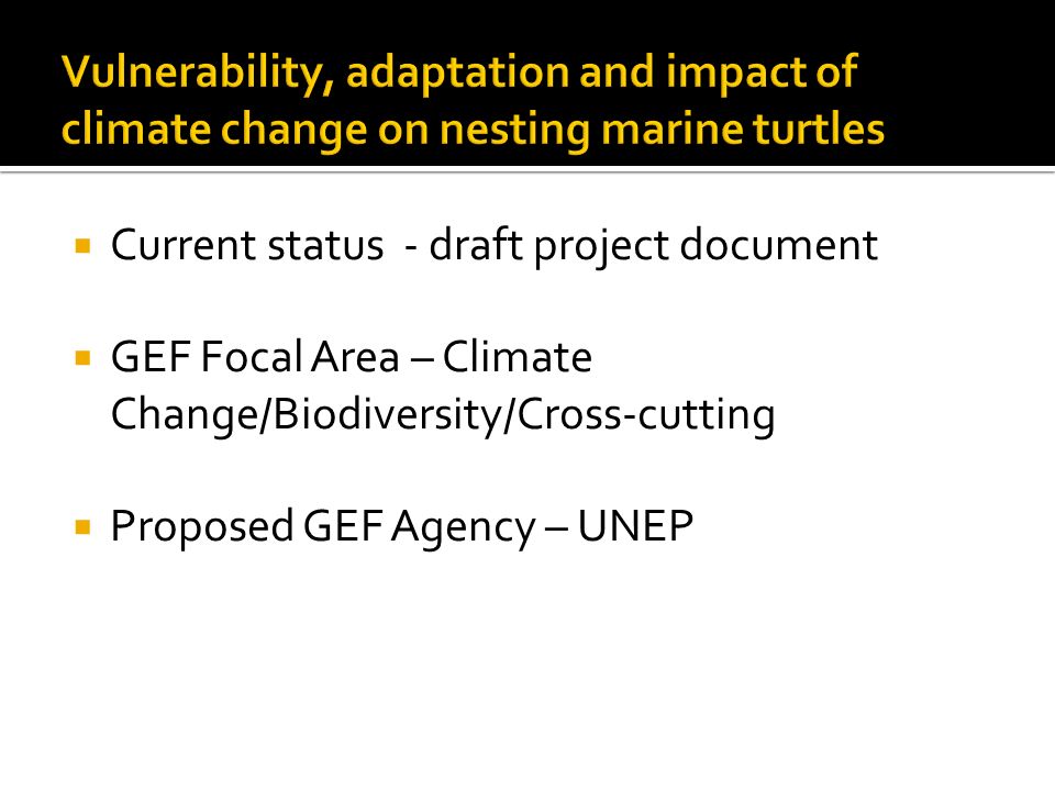  Current status - draft project document  GEF Focal Area – Climate Change/Biodiversity/Cross-cutting  Proposed GEF Agency – UNEP