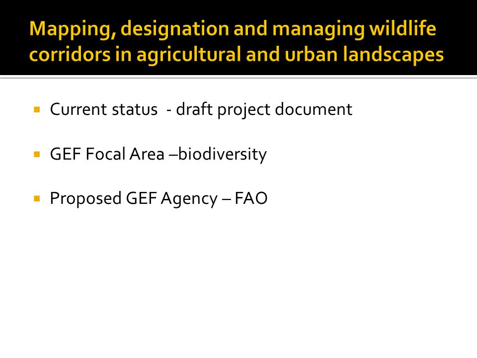  Current status - draft project document  GEF Focal Area –biodiversity  Proposed GEF Agency – FAO
