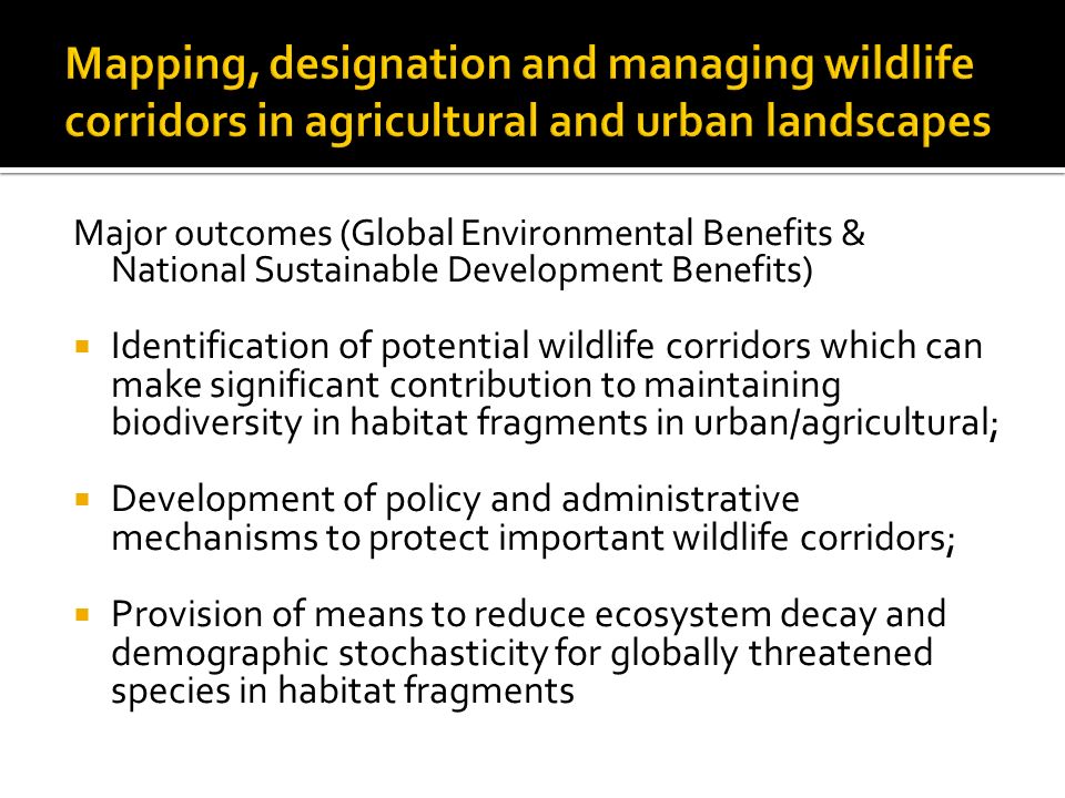 Major outcomes (Global Environmental Benefits & National Sustainable Development Benefits)  Identification of potential wildlife corridors which can make significant contribution to maintaining biodiversity in habitat fragments in urban/agricultural;  Development of policy and administrative mechanisms to protect important wildlife corridors;  Provision of means to reduce ecosystem decay and demographic stochasticity for globally threatened species in habitat fragments