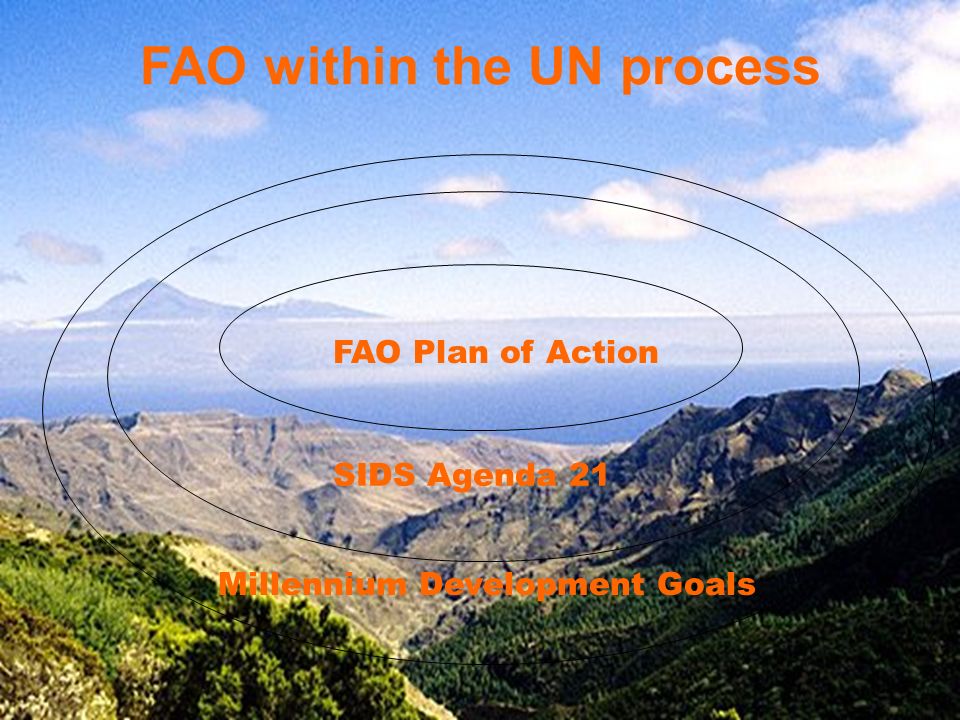FAO within the UN process FAO Plan of Action SIDS Agenda 21 Millennium Development Goals