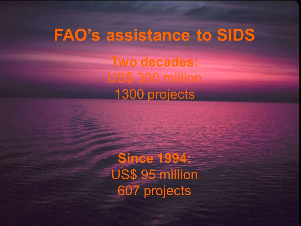 FAO’s assistance to SIDS Two decades: US$ 300 million 1300 projects Since 1994: US$ 95 million 607 projects