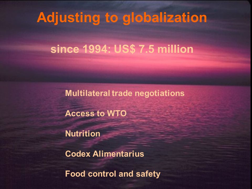 Adjusting to globalization since 1994: US$ 7.5 million Multilateral trade negotiations Access to WTO Nutrition Codex Alimentarius Food control and safety