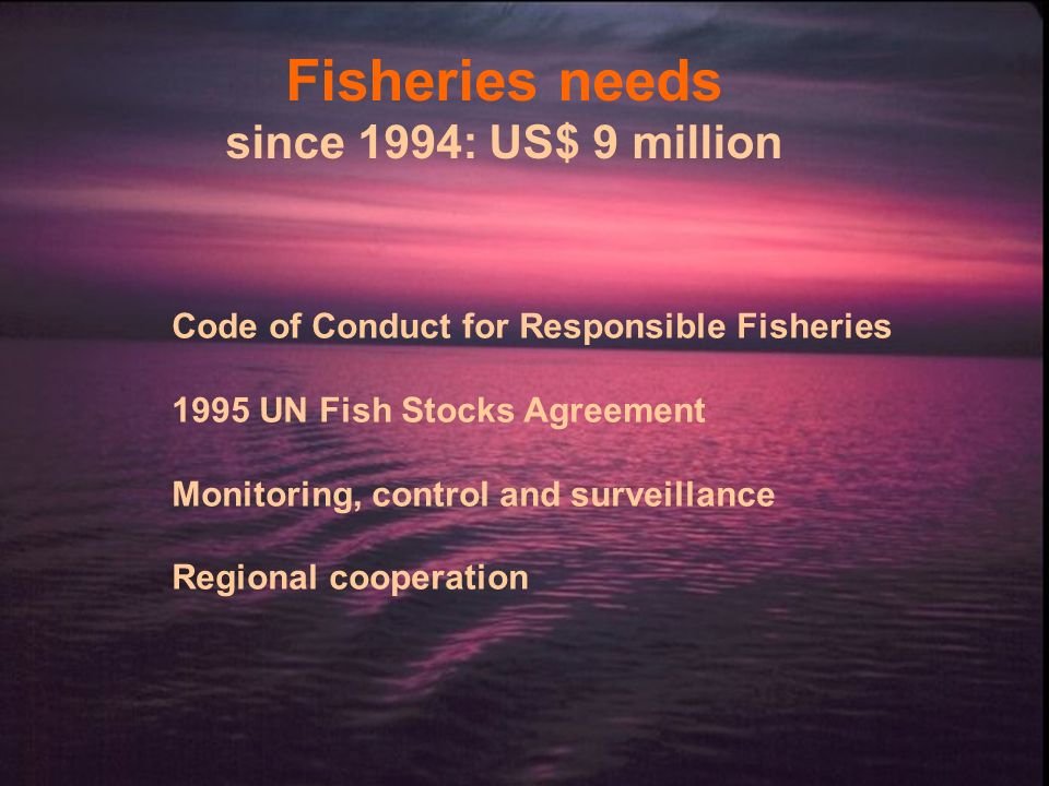 Fisheries needs since 1994: US$ 9 million Code of Conduct for Responsible Fisheries 1995 UN Fish Stocks Agreement Monitoring, control and surveillance Regional cooperation