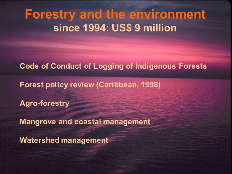 Forestry and the environment since 1994: US$ 9 million Code of Conduct of Logging of Indigenous Forests Forest policy review (Caribbean, 1998) Agro-forestry Mangrove and coastal management Watershed management