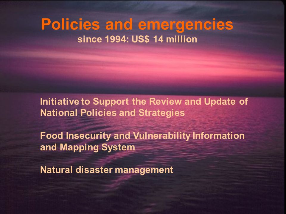 Policies and emergencies since 1994: US$ 14 million Initiative to Support the Review and Update of National Policies and Strategies Food Insecurity and Vulnerability Information and Mapping System Natural disaster management