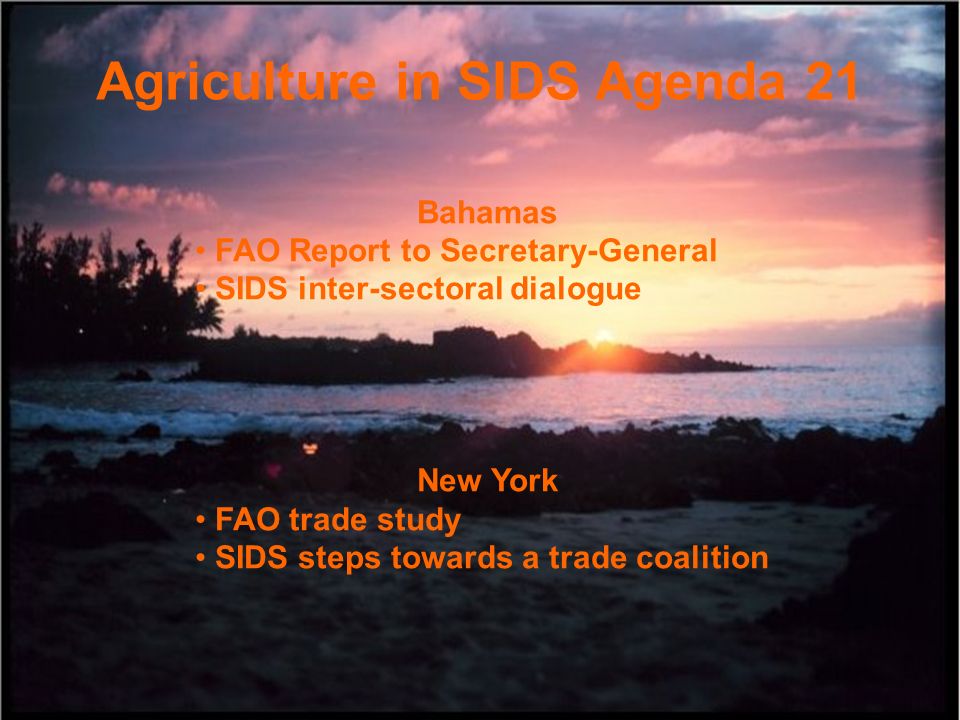 Agriculture in SIDS Agenda 21 Bahamas FAO Report to Secretary-General SIDS inter-sectoral dialogue New York FAO trade study SIDS steps towards a trade coalition