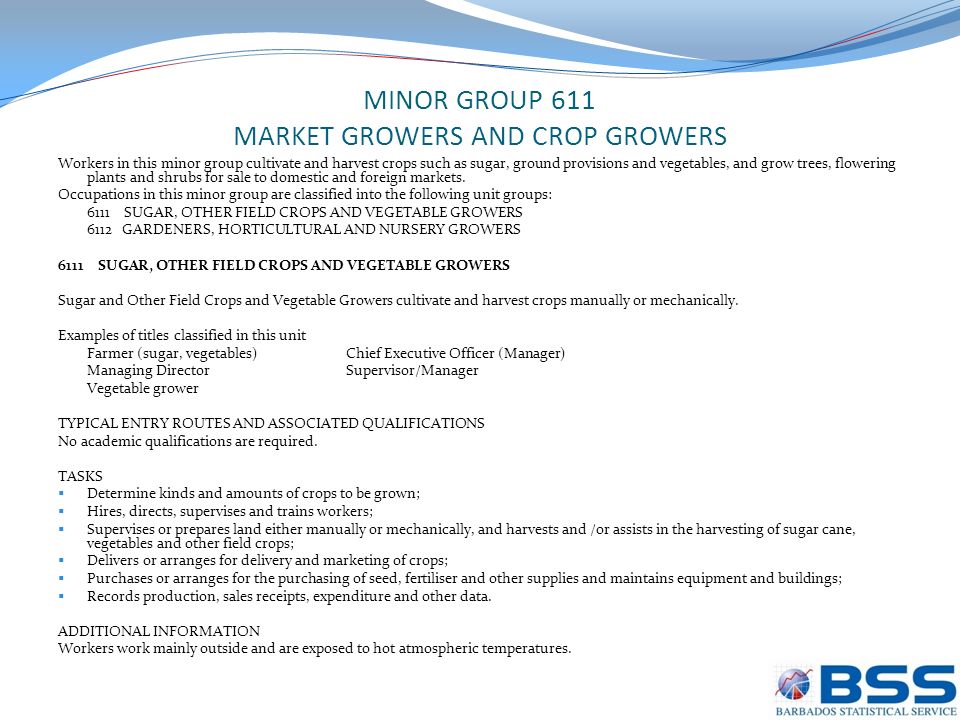 MINOR GROUP 611 MARKET GROWERS AND CROP GROWERS Workers in this minor group cultivate and harvest crops such as sugar, ground provisions and vegetables, and grow trees, flowering plants and shrubs for sale to domestic and foreign markets.