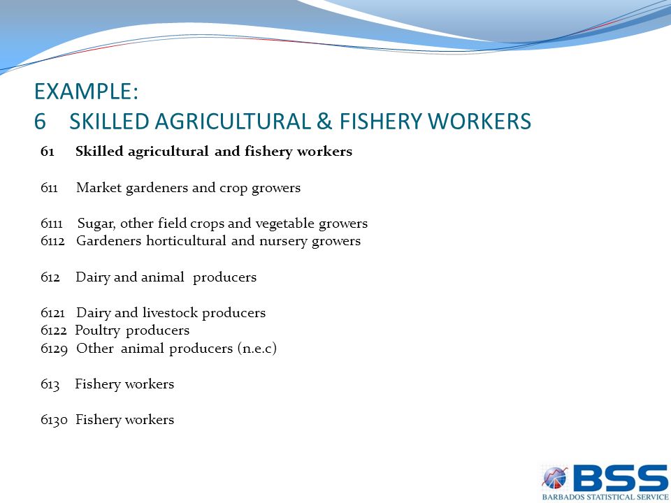 EXAMPLE: 6 SKILLED AGRICULTURAL & FISHERY WORKERS 61 Skilled agricultural and fishery workers 611 Market gardeners and crop growers 6111 Sugar, other field crops and vegetable growers 6112 Gardeners horticultural and nursery growers 612 Dairy and animal producers 6121 Dairy and livestock producers 6122 Poultry producers 6129 Other animal producers (n.e.c) 613 Fishery workers 6130 Fishery workers