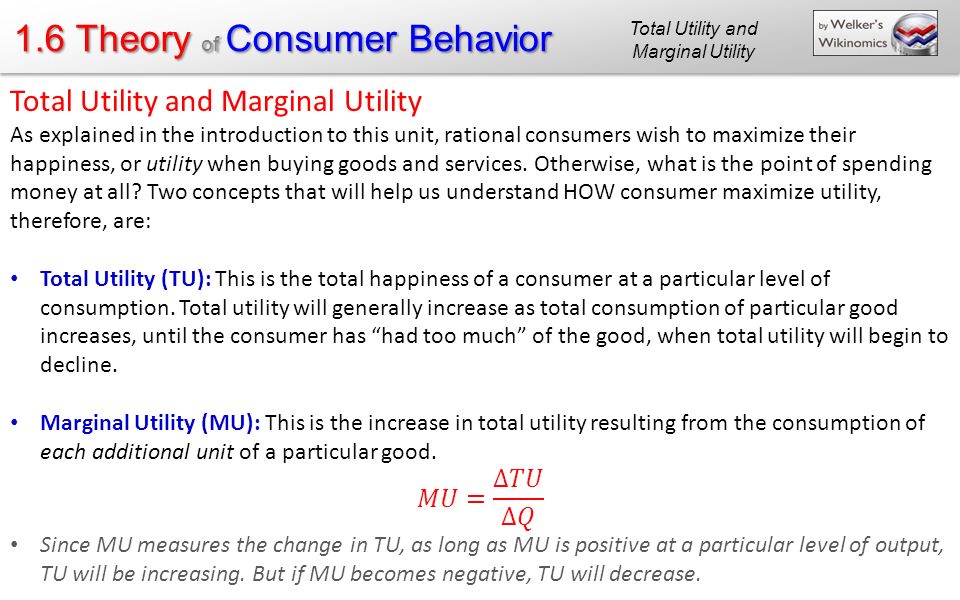 1.6 Theory of Consumer Behavior Total Utility and Marginal Utility