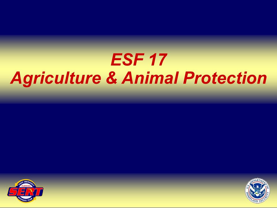 ESF 17 Agriculture & Animal Protection Up Next – Finance & Administration