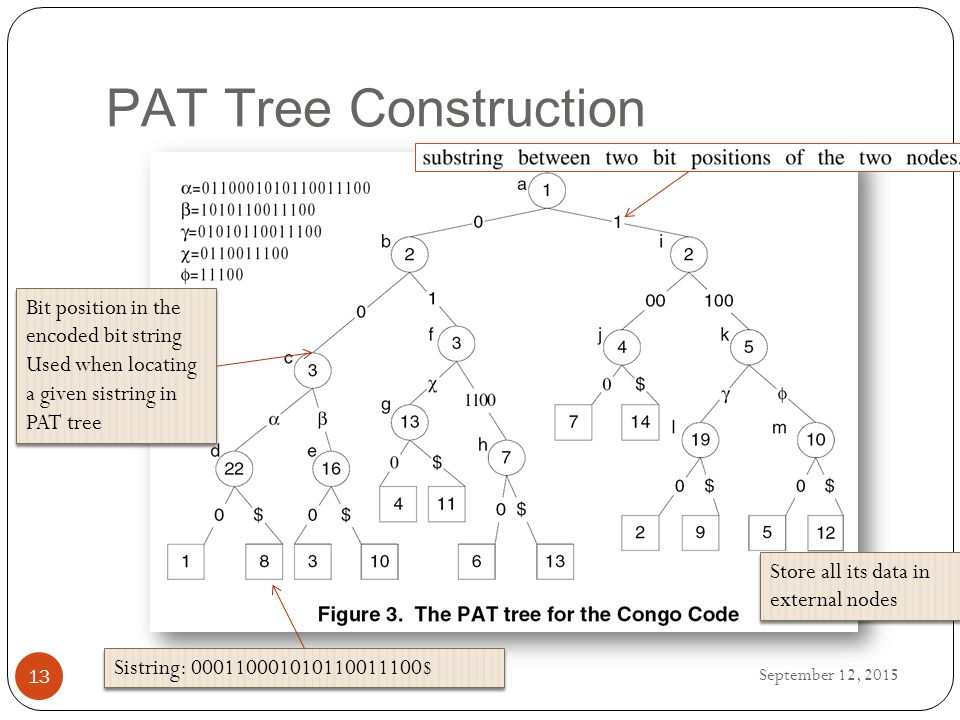 PAT Tree Construction September 12, Sistring: $ Bit position in the encoded bit string Used when locating a given sistring in PAT tree Bit position in the encoded bit string Used when locating a given sistring in PAT tree Store all its data in external nodes