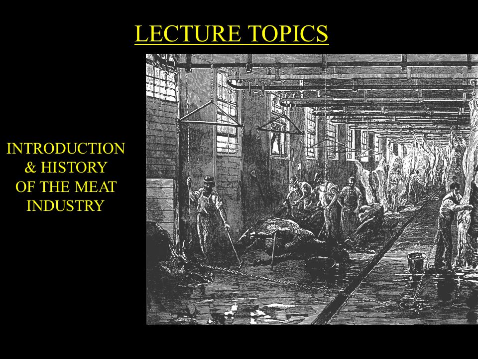 LECTURE TOPICS INTRODUCTION & HISTORY OF THE MEAT INDUSTRY
