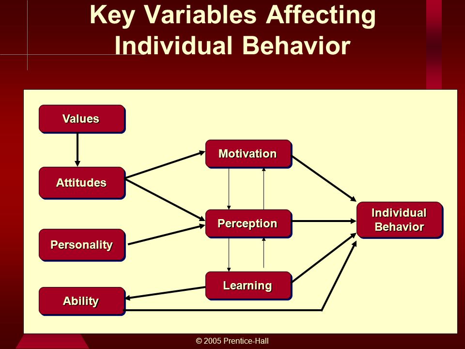 © 2005 Prentice-Hall 2-39 Key Variables Affecting Individual BehaviorAttitudesAttitudes MotivationMotivation PerceptionPerception LearningLearning Individual Behavior ValuesValues PersonalityPersonality AbilityAbility