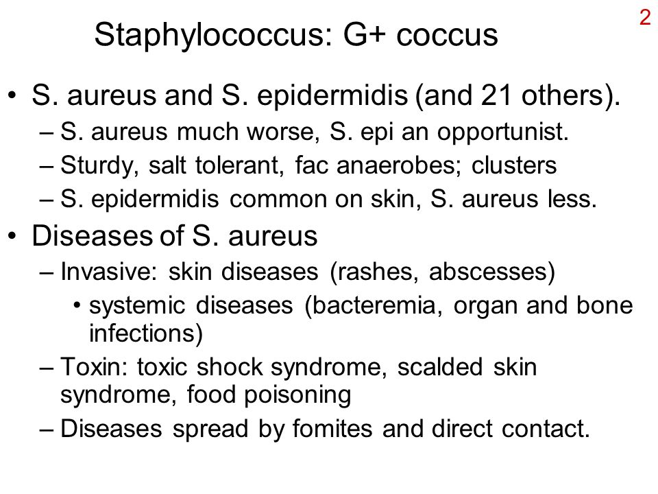 Current Diseases Staphylococcus Clostridia Food-borne bacteria Malaria ...