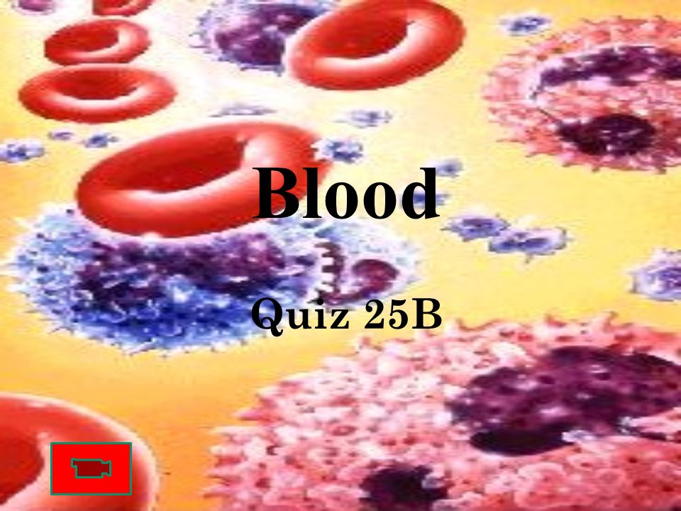 Blood Quiz 25B