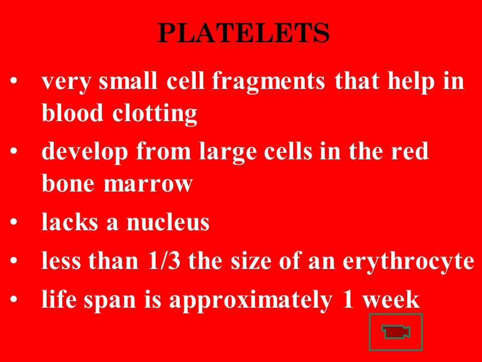 PLATELETS very small cell fragments that help in blood clotting develop from large cells in the red bone marrow lacks a nucleus less than 1/3 the size of an erythrocyte life span is approximately 1 week