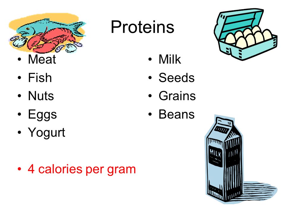 Proteins Meat Fish Nuts Eggs Yogurt 4 calories per gram Milk Seeds Grains Beans