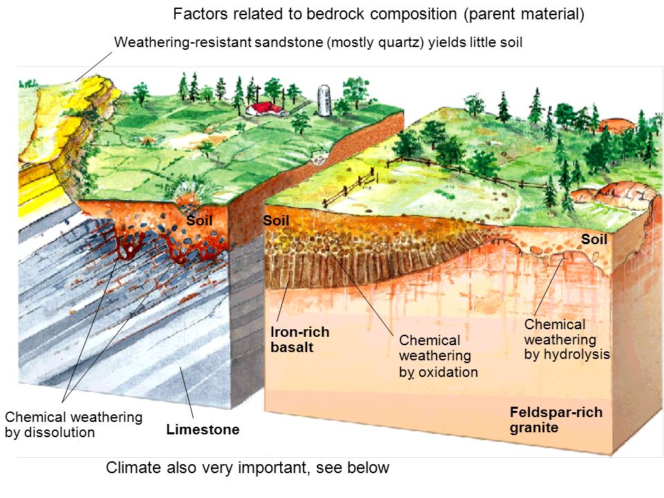 Chemical weathering by dissolution Limestone Weathering-resistant sandstone (mostly quartz) yields little soil Soil Feldspar-rich granite Iron-rich basalt Chemical weathering by  oxidation Chemical weathering by hydrolysis Factors related to bedrock composition (parent material) Climate also very important, see below