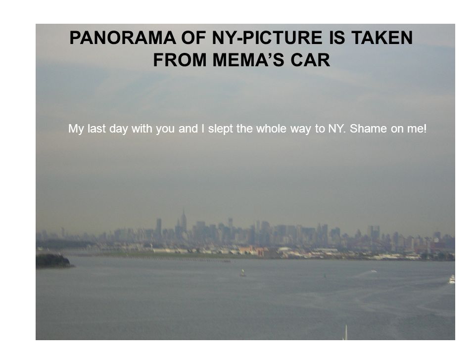 PANORAMA OF NY-PICTURE IS TAKEN FROM MEMA’S CAR My last day with you and I slept the whole way to NY.