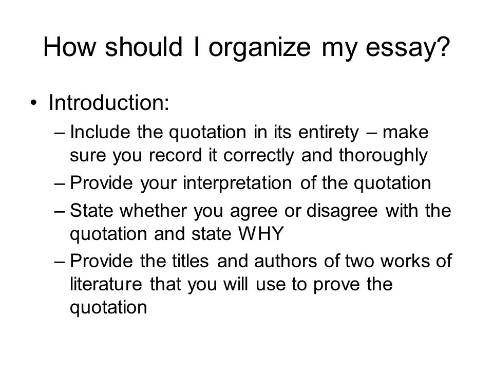 How should I organize my essay.