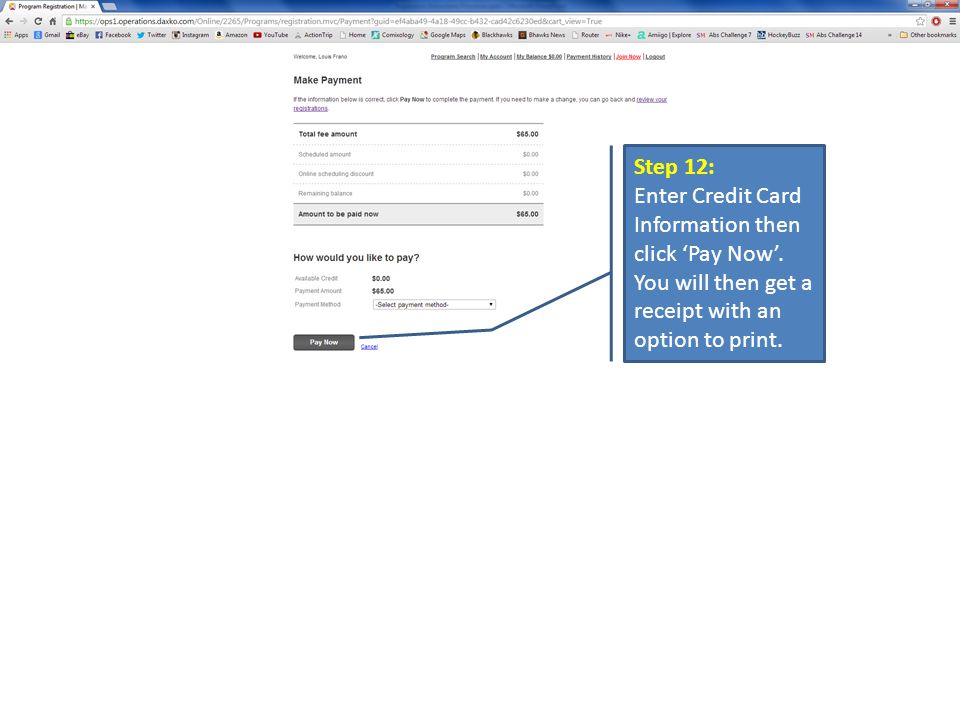 Step 12: Enter Credit Card Information then click ‘Pay Now’.