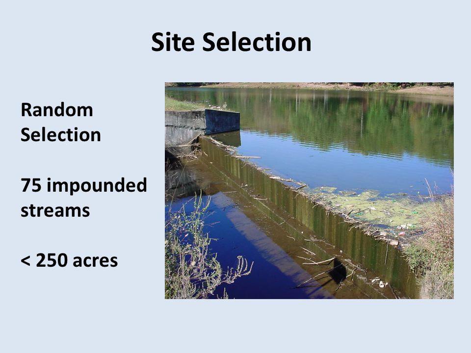 Site Selection Random Selection 75 impounded streams < 250 acres