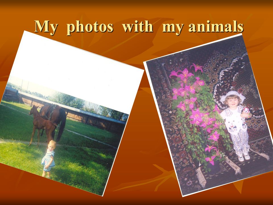 My photos with my animals My photos with my animals