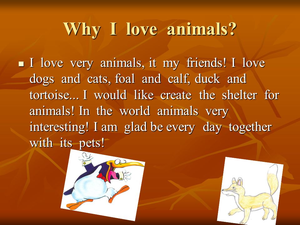 Why I love animals. I love very animals, it my friends.