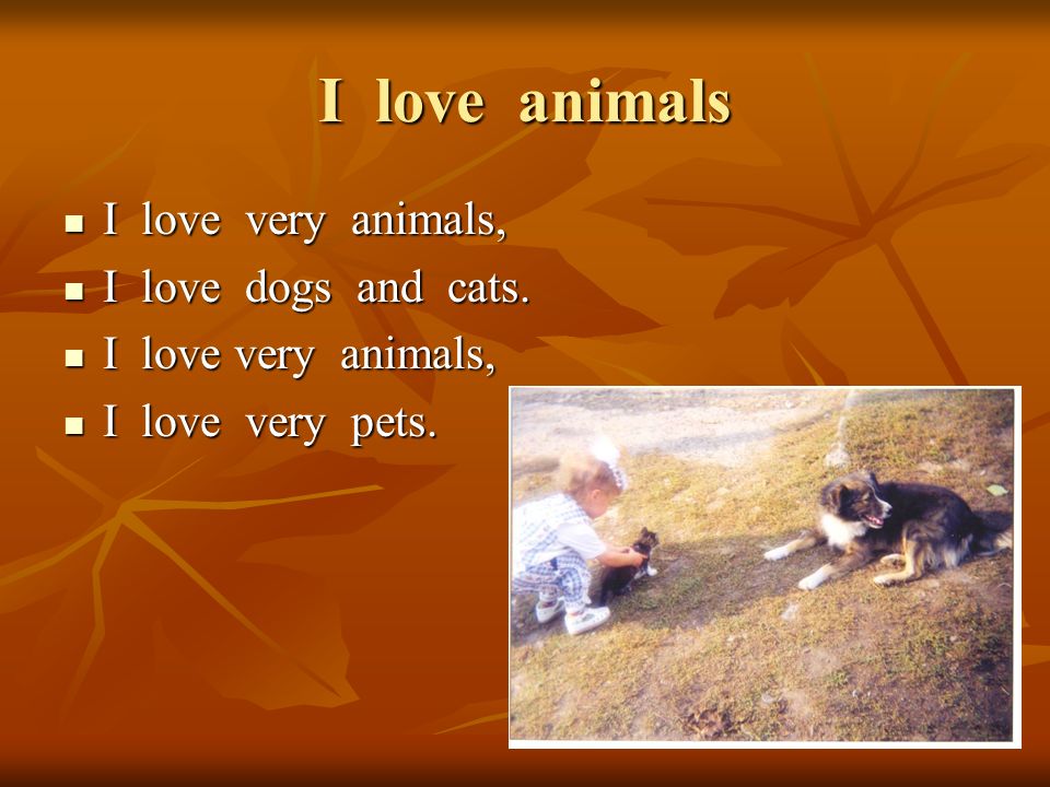 I love animals I love very animals, I love very animals, I love dogs and cats.