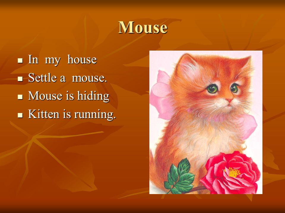 Mouse In my house In my house Settle a mouse. Settle a mouse.