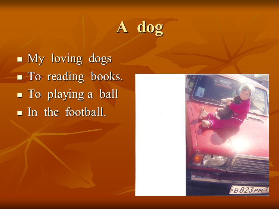 A dog My loving dogs My loving dogs To reading books.