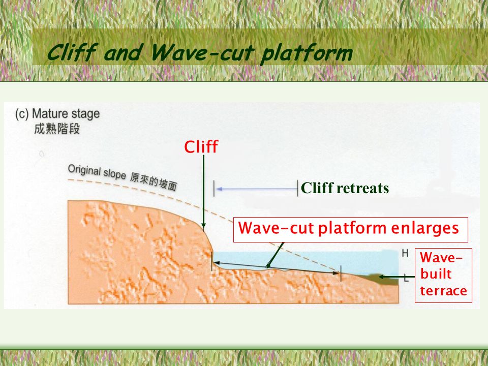Coastal Landforms Erosional Features Cliff and Wave-cut Platform Active wave  erosion between the high water mark and low water mark Notch. - ppt download