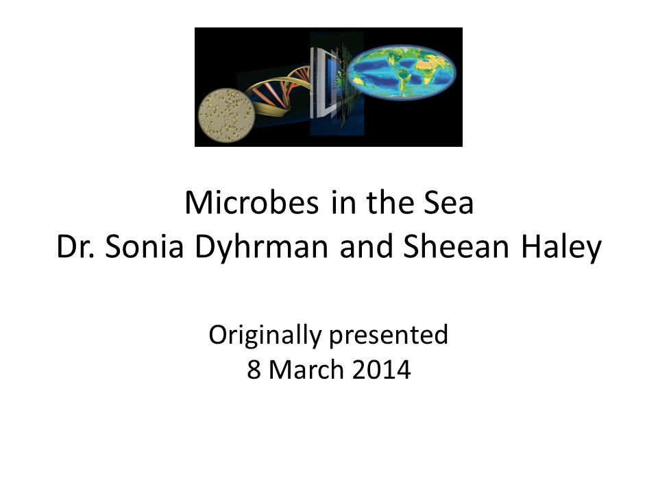 Microbes in the Sea Dr. Sonia Dyhrman and Sheean Haley Originally presented 8 March 2014