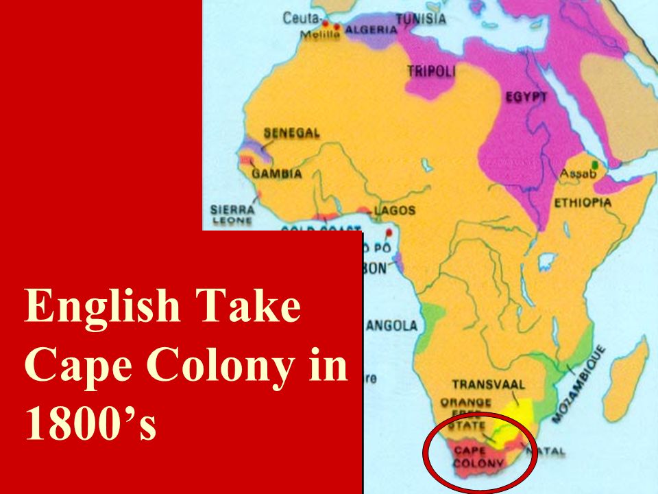 English Take Cape Colony in 1800’s