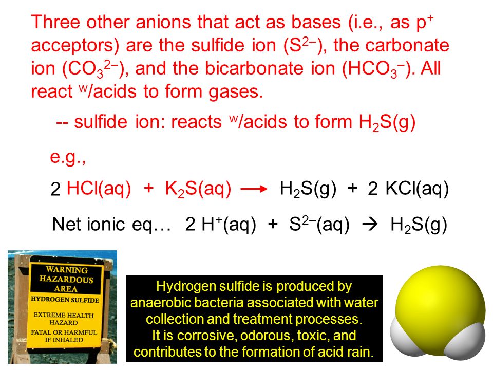 2 Three other anions that act as bases (i.e., as p + acceptors) are the sulfide ion (S 2– ), the carbonate ion (CO 3 2– ), and the bicarbonate ion (HCO 3 – ).