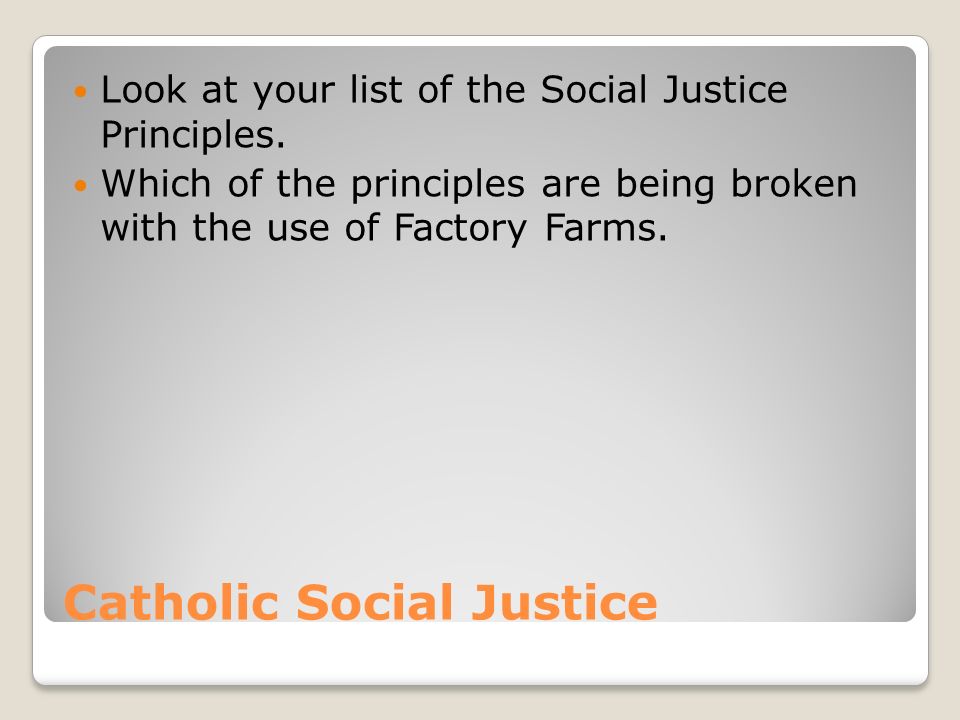 Catholic Social Justice Look at your list of the Social Justice Principles.