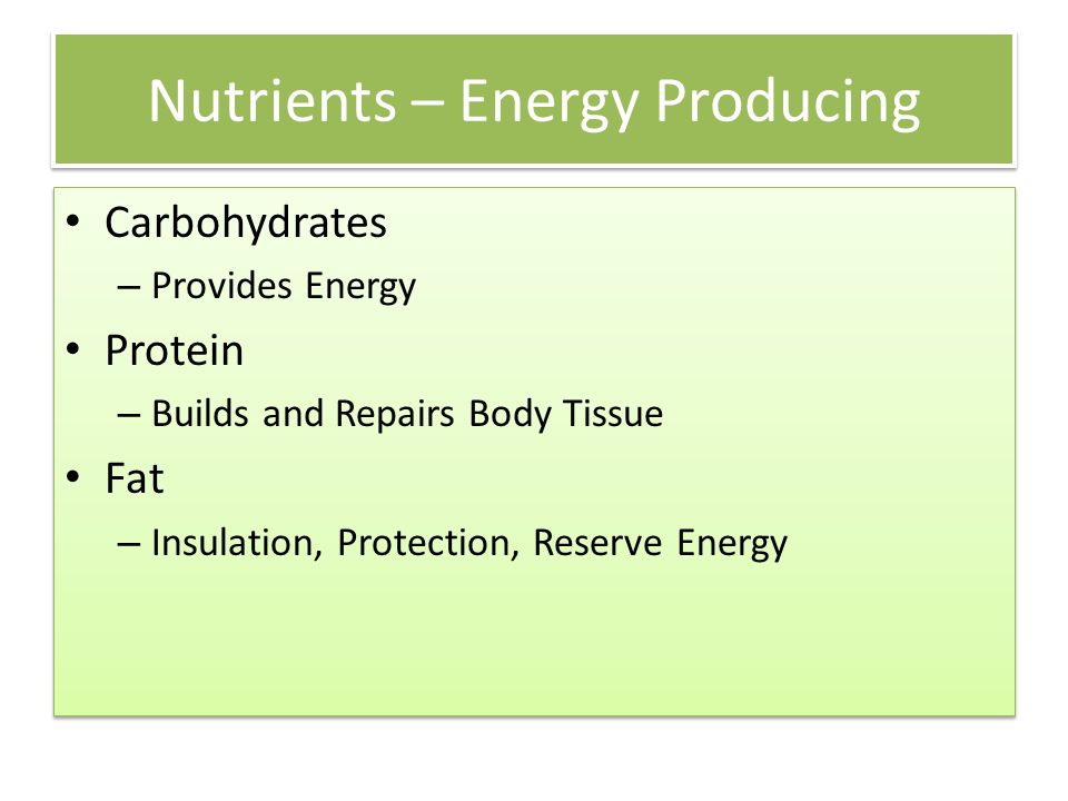 Nutrients – Energy Producing Carbohydrates – Provides Energy Protein – Builds and Repairs Body Tissue Fat – Insulation, Protection, Reserve Energy Carbohydrates – Provides Energy Protein – Builds and Repairs Body Tissue Fat – Insulation, Protection, Reserve Energy
