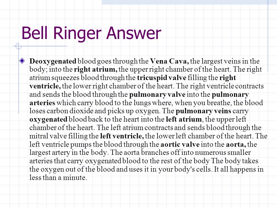 Cardiovascular Unit (Day 4) Bell Ringer:  On a piece of paper, write your name and today’s date  Do not use your notes!!.