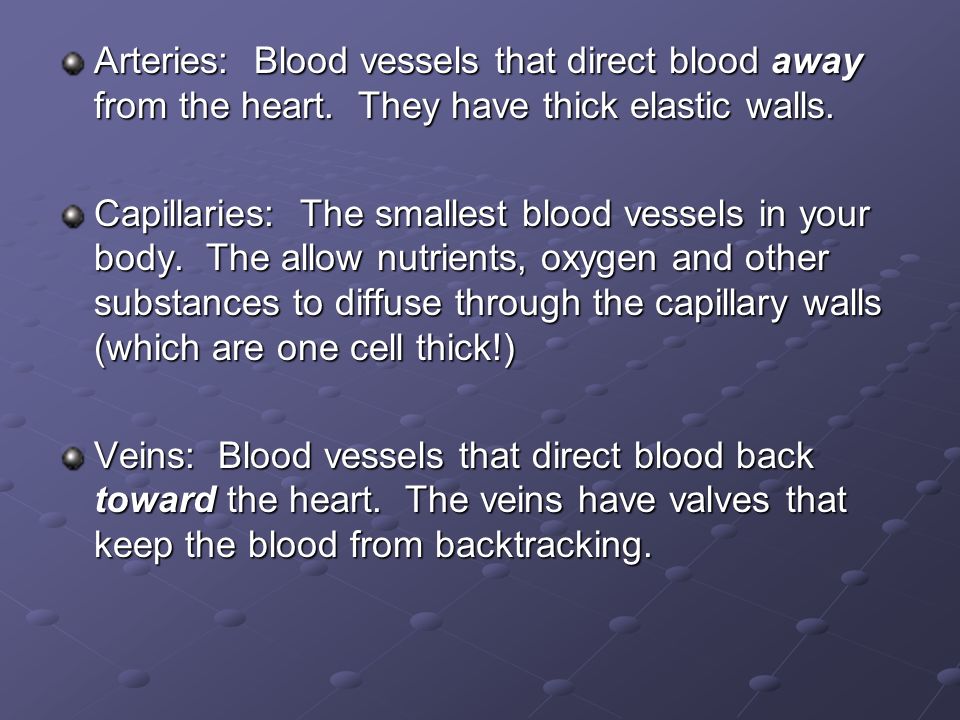 Arteries: Blood vessels that direct blood away from the heart.
