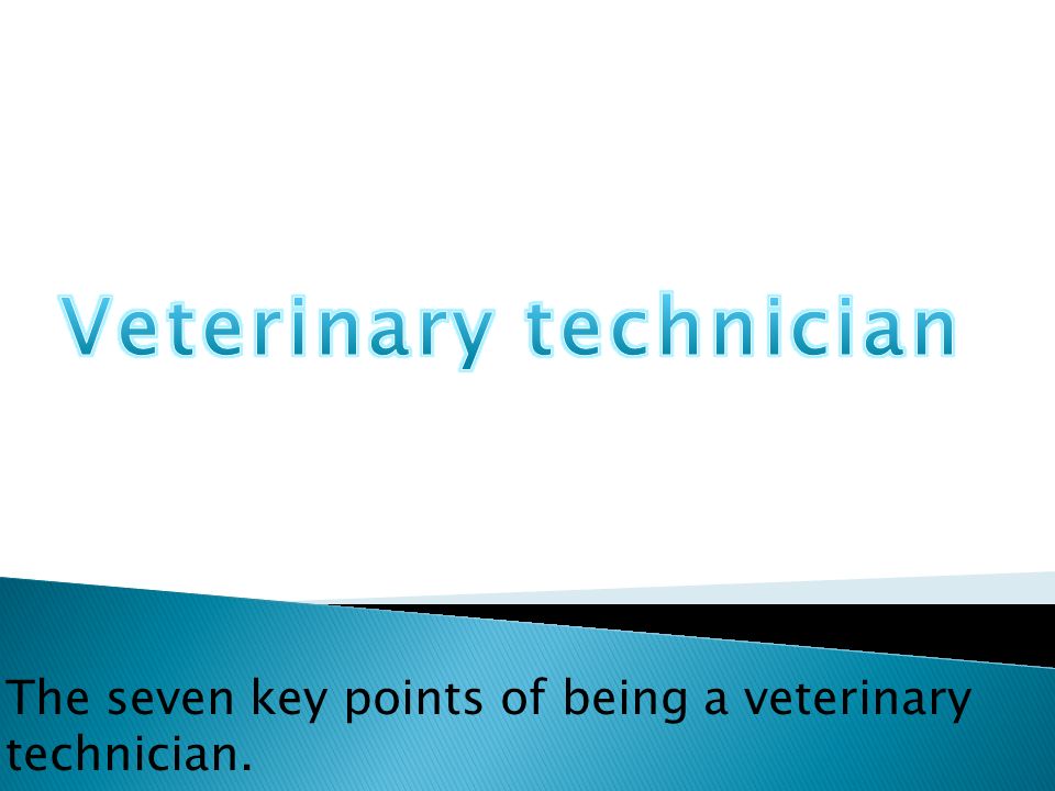 The seven key points of being a veterinary technician.