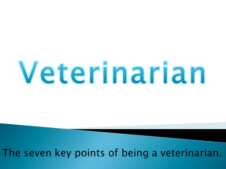 The seven key points of being a veterinarian.