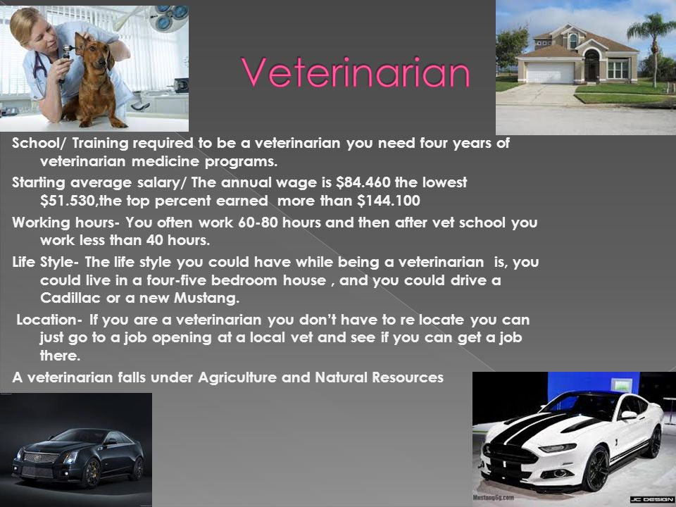 School/ Training required to be a veterinarian you need four years of veterinarian medicine programs.