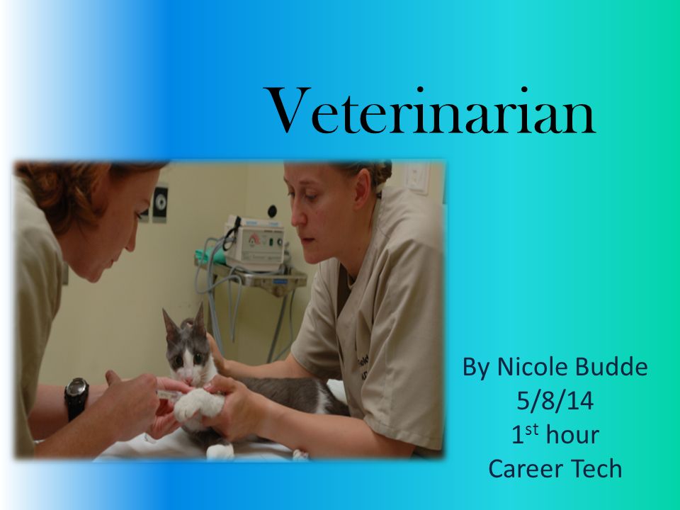 Veterinarian By Nicole Budde 5/8/14 1 st hour Career Tech