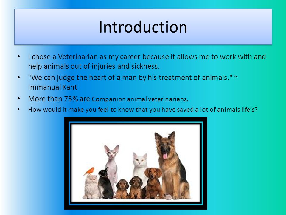 Introduction I chose a Veterinarian as my career because it allows me to work with and help animals out of injuries and sickness.