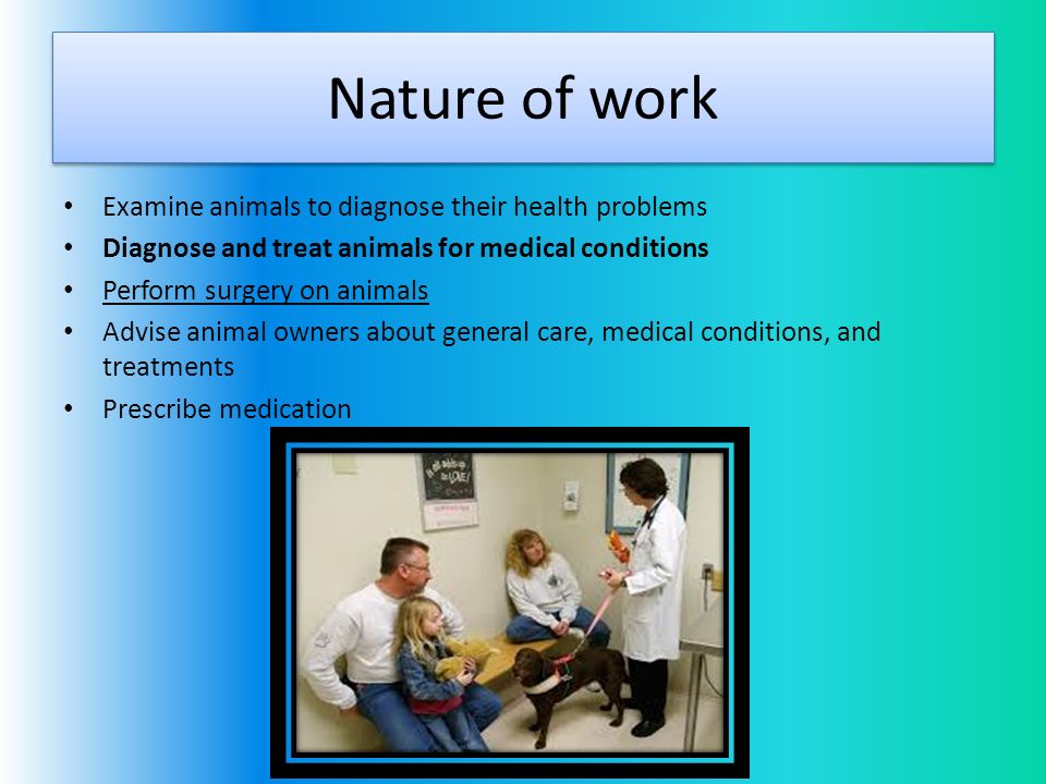 Nature of work Examine animals to diagnose their health problems Diagnose and treat animals for medical conditions Perform surgery on animals Advise animal owners about general care, medical conditions, and treatments Prescribe medication