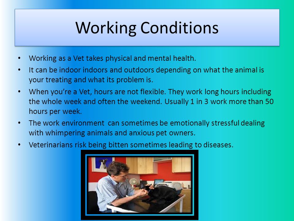 Working Conditions Working as a Vet takes physical and mental health.
