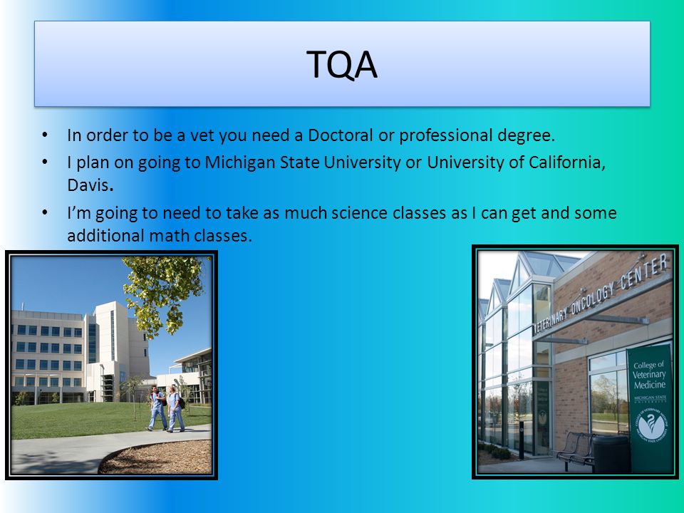 TQA In order to be a vet you need a Doctoral or professional degree.