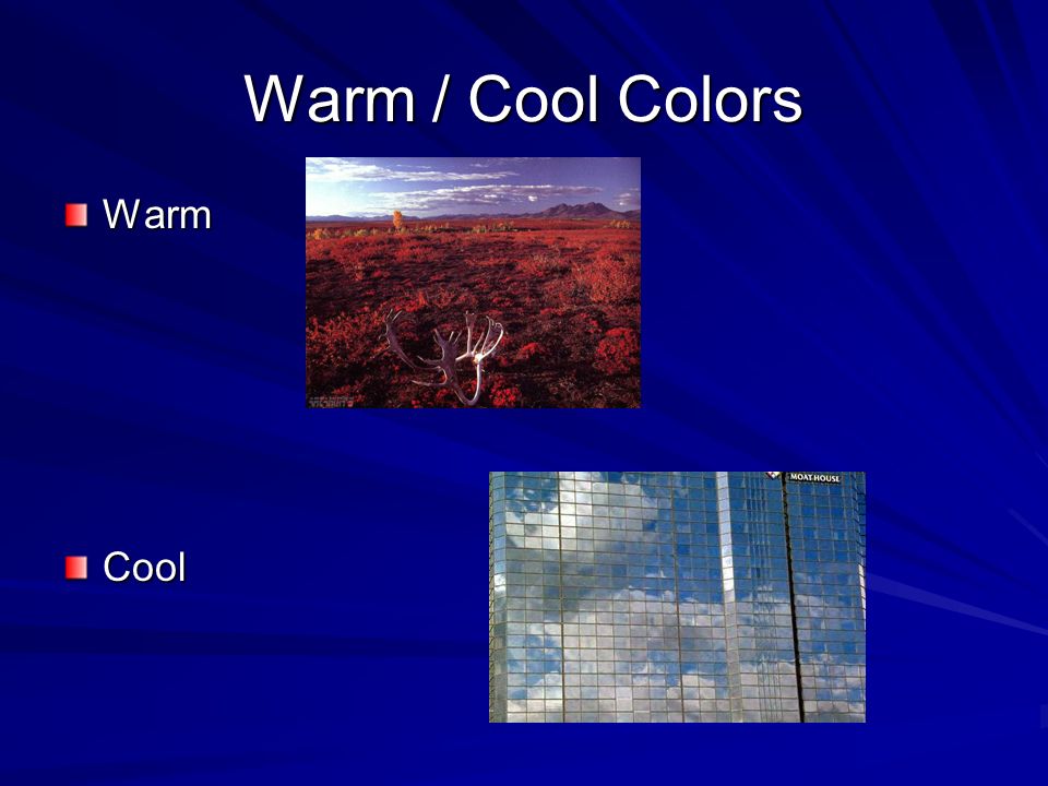 Warm / Cool Colors WarmCool